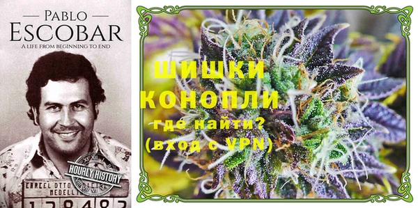 бошки Абаза